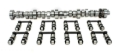 Picture of CAM & LIFTER KIT, FF XR294HR-1 0