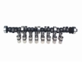 Picture of CAM & LIFTER KIT, FW 268H