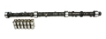 Picture of CAM & LIFTER KIT, C61 252H
