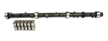 Picture of CAM & LIFTER KIT, C61 252H