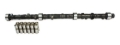 Picture of CAM & LIFTER KIT, C61 260H