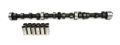Picture of CAM & LIFTER KIT, CR6 252H