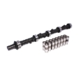 Picture of CAM & LIFTER KIT, B350 252H