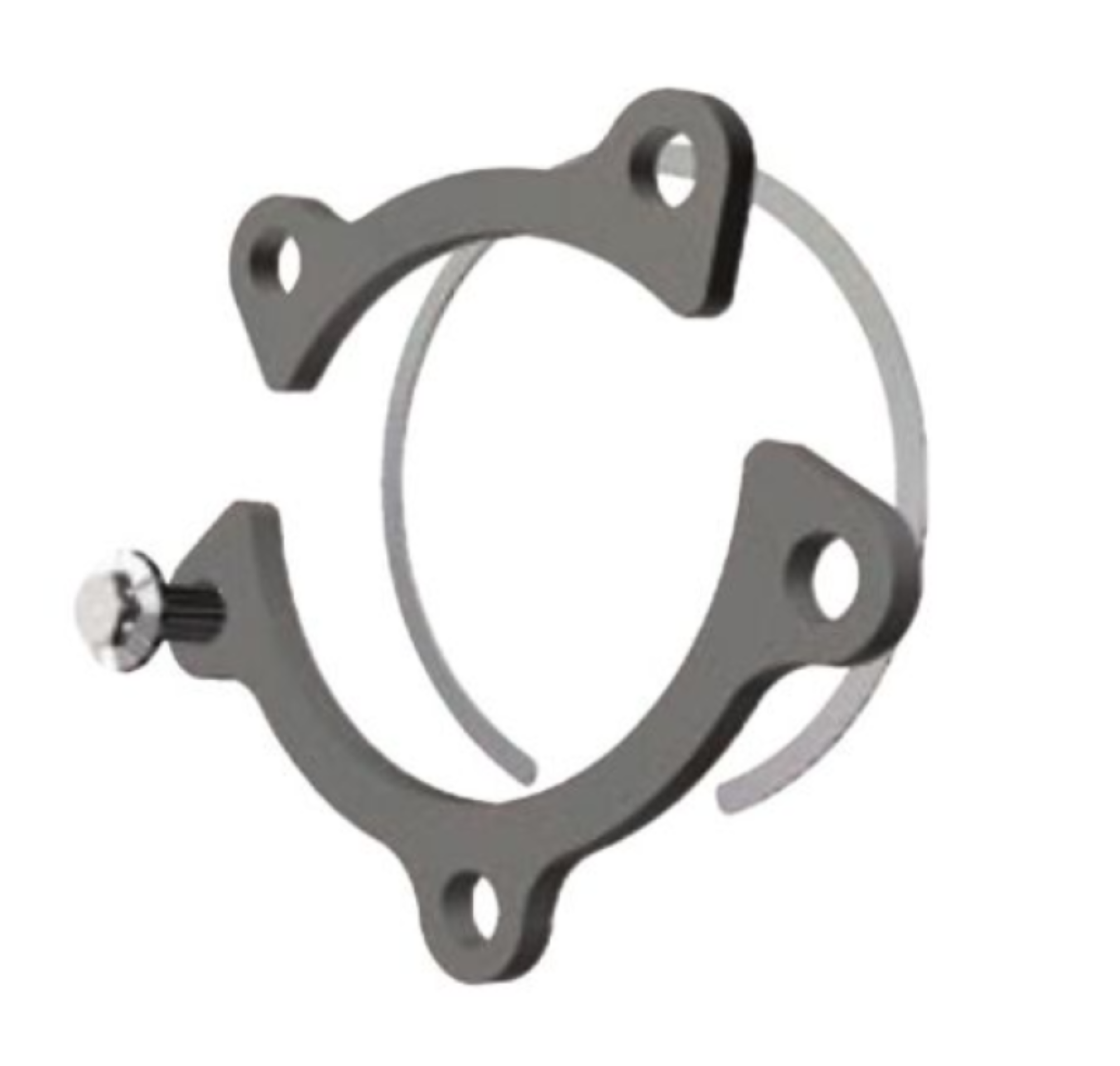 Picture of BorgWarner BWA Clamps - 59007119005