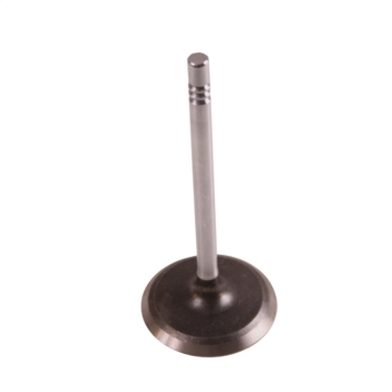 Picture of OMIX OMI Valves - 17415.05