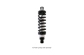 Picture of QA1 QAP Coil Shocks-Proma Star Shocks and Struts - DD602