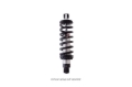 Picture of QA1 QAP Coil Shocks-Proma Star Shocks and Struts - DS502