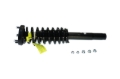 Picture of KYB Shocks & Struts Strut Plus Front Shocks and Struts - sr4136