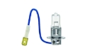 Picture of Hella Halogen Bulb - H3