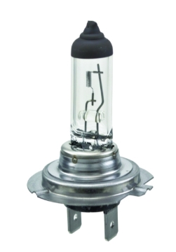 Picture of Hella Halogen Bulb - H7