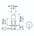 Picture of Hella Halogen Bulb - H3