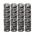 Picture of Vlv Spr Kt-Chevy LS - NexTek Sprs/Steel Ret/I.D. Loc./Mchnd Vlv Lcks/Viton Sls