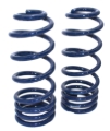 Picture of Ridetech RID Coil Springs Lowering Springs - 11324799