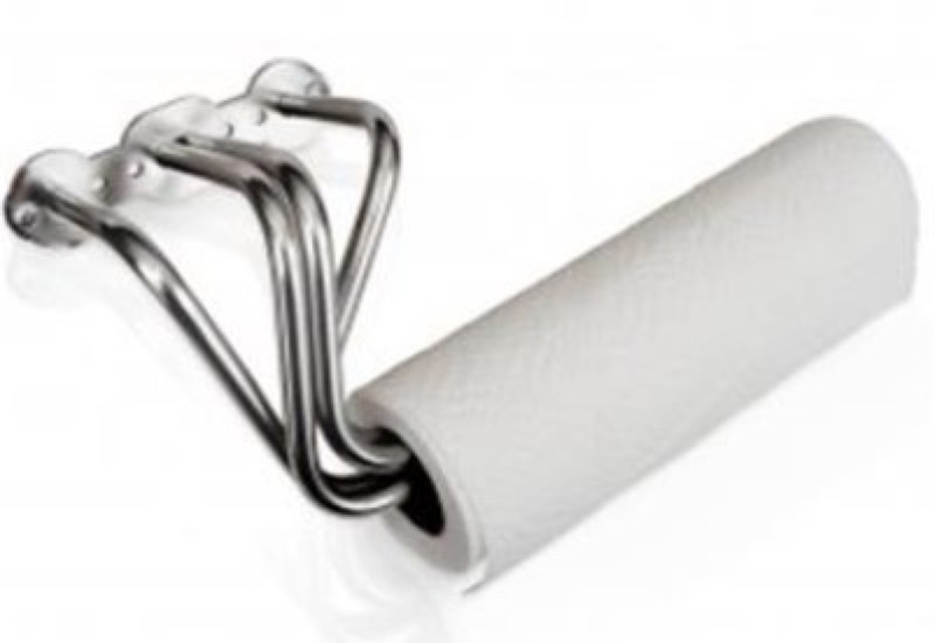 Picture of Stainless Works SSW Toilet Paper Holders Marketing - HDHDR-F-PTD