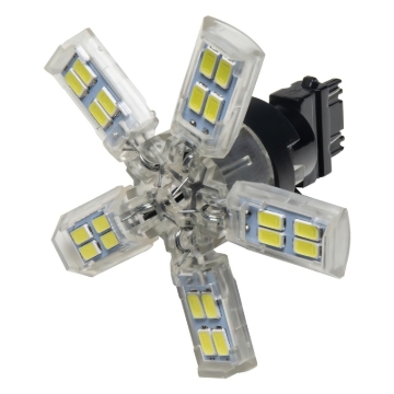 Picture of ORACLE Lighting ORL Bulbs-Spider - 5104-001