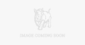 Picture of Rhino-Rack RHR Backbone Mounting System Roof Rack - RCCB1