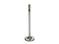 Picture of Race  Ford 4.6L Mod  Int. Vlv - 37.00mm Head Dia.,5.339 in. O/A ,.2750 in. Stem