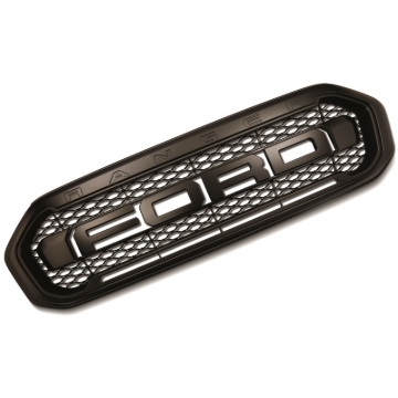 Picture of Ford Racing FR Grilles - M-8200-FRD