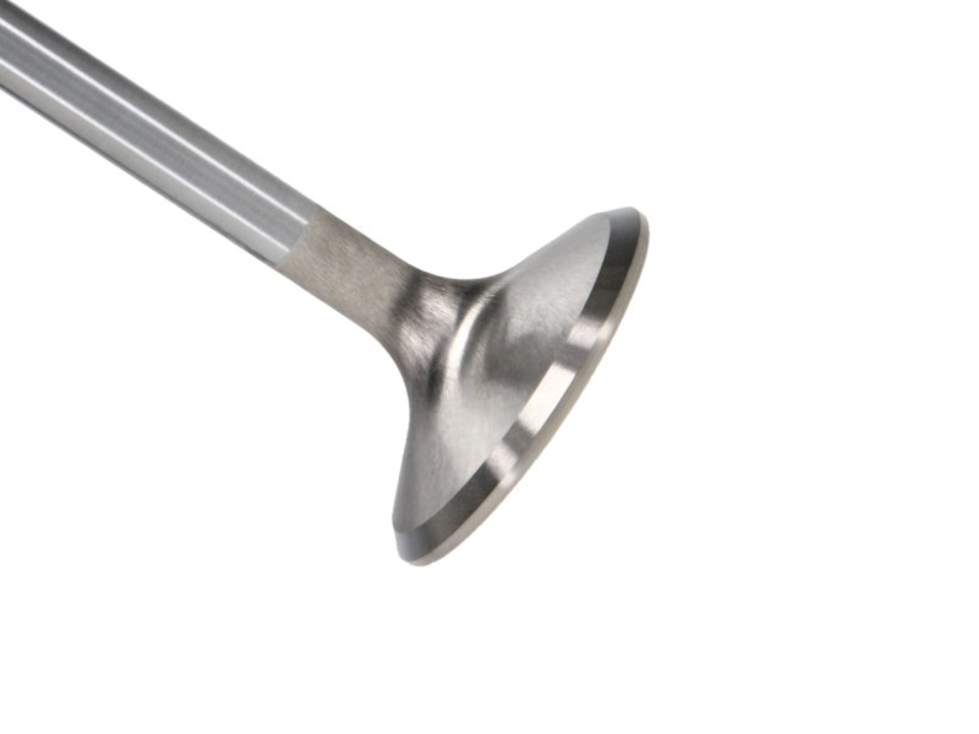 Picture of Manley Performance MAN Race Master Valves - 11611-8