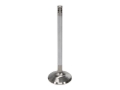 Picture of Manley Performance MAN Race Master Valves - 11611-8