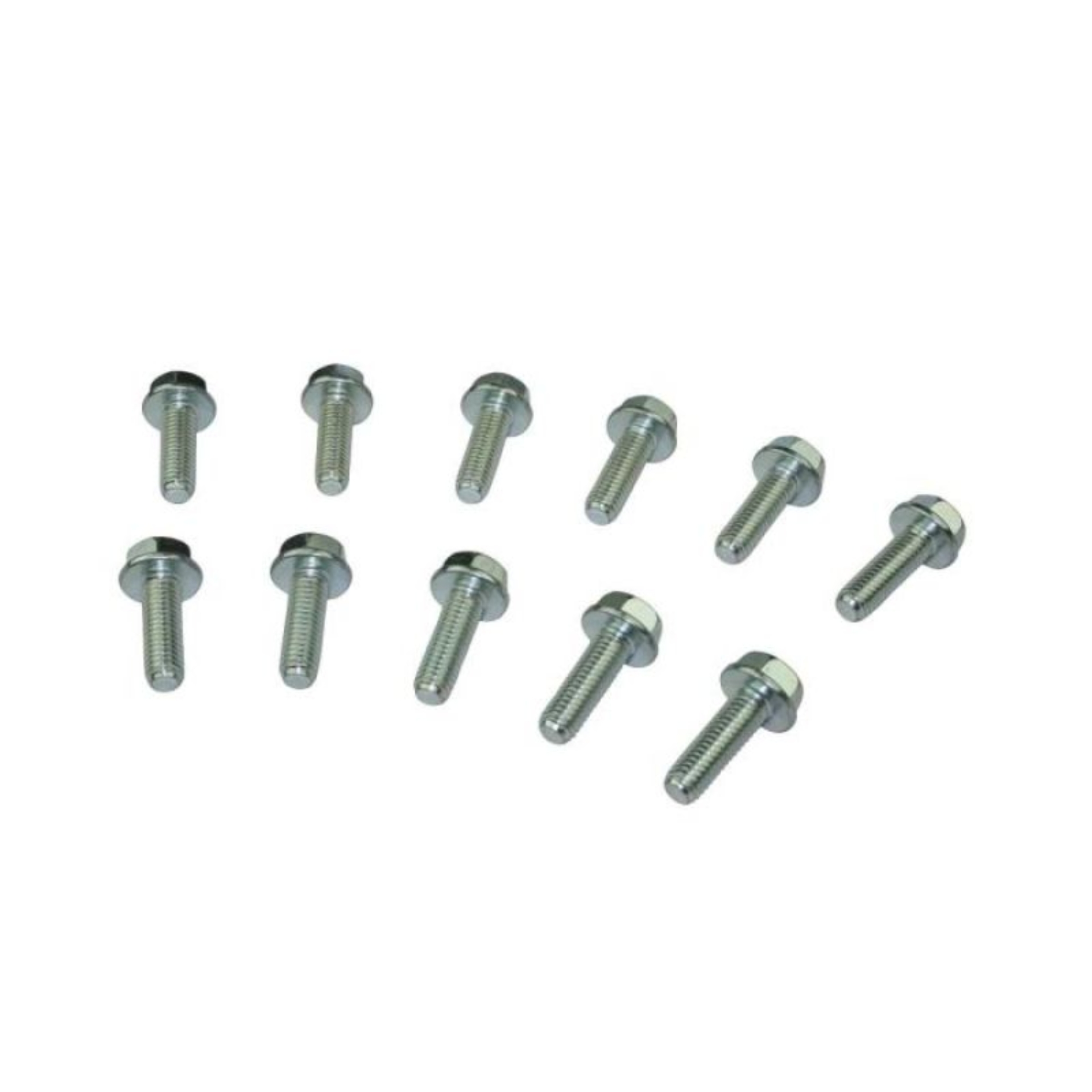 Picture of Moroso MOR Bolts - 38307
