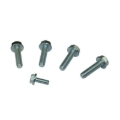 Picture of Moroso MOR Bolts - 38306