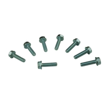 Picture of Moroso MOR Bolts - 38591