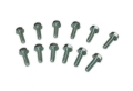 Picture of Moroso MOR Bolts - 38711