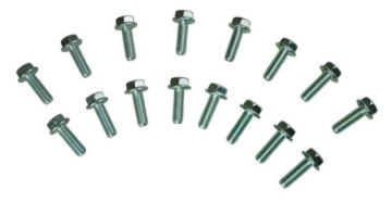 Picture of Moroso MOR Bolts - 38712