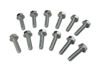 Picture of Moroso MOR Bolts Rear - 38805