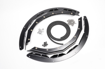 Picture of Radium Engineering RAD Fuel Cell Cage Fuel Tanks - 20-0931