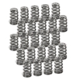 Picture of Supertech SPT Conical Valve Spring Kits Valve Springs, Retainers - SPR-FE20BE-24