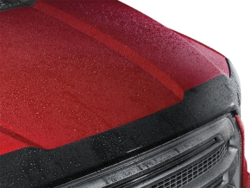 Picture of WeatherTech WT Hood Protector Stone/Bug Deflectors - 55218