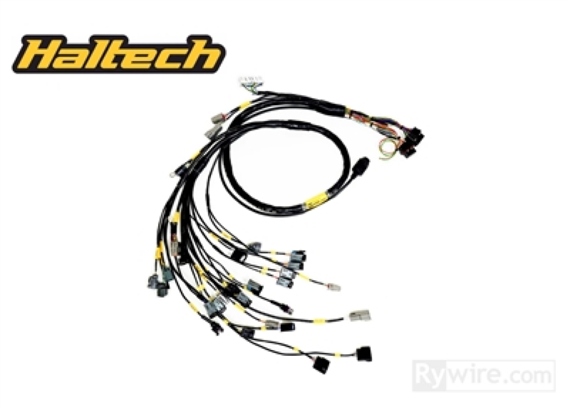 Picture of Rywire RYW Mil-Spec Engine Harnesses Wiring Harnesses - RY-B-HALTECH-ELITE