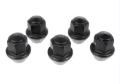 Picture of Ford Racing FR Lug Nut Kits - M-1012-BSB