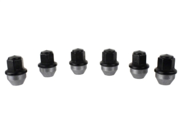 Picture of Ford Racing FR Lug Nut Kits - M-1012-F15B