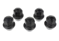 Picture of Ford Racing FR Lug Nut Kits - M-1012-BSB