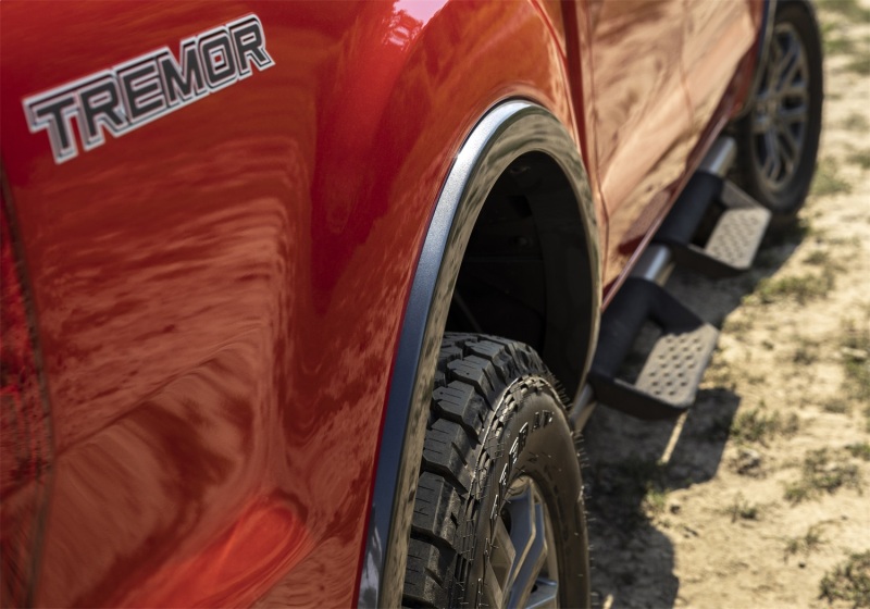 Picture of Ford Racing FR Side Steps - M-16450-RTS