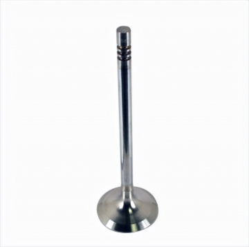 Picture of Ford Racing FR Exhaust Valves - M-6505-M52