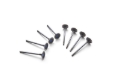 Picture of Ford Racing FR Exhaust Valves - M-6505-M52