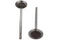 Picture of Ford Racing FR Intake Valves - M-6507-M52
