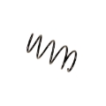 Picture of B3 OE Replacement - Coil Spring
