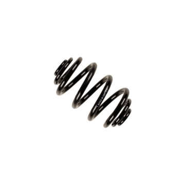 Picture of B3 OE Replacement - Coil Spring