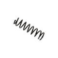 Picture of B3 OE Replacement - Coil Spring