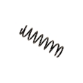 Picture of B3 OE Replacement - Coil Spring