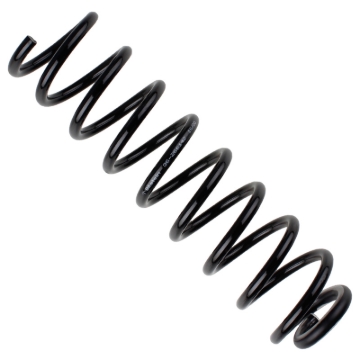 Picture of B3 OE Replacement - Coil Spring