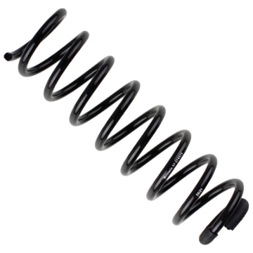 Picture of B3 OE Replacement - Coil Spring