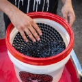 Picture of Chemical Guys CHG Bucket Inserts Wash Buckets - DIRTTRAP01
