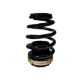Picture of BLOX Racing BX Plus Coilovers - BXSS-00121