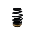 Picture of BLOX Racing BX Plus Coilovers - BXSS-00120
